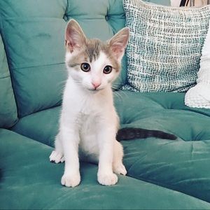 Meet your Posher, Christine